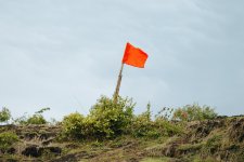 FINRA Reminds Firm To Monitor For “Red Flags” In Options Trading Applications